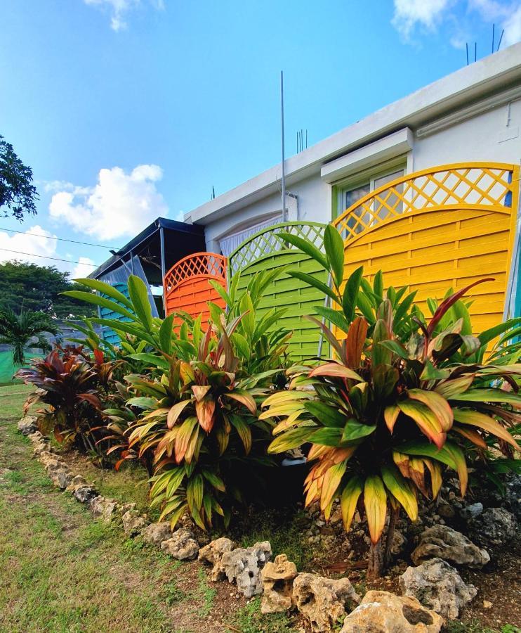 Maison Confortable A Sainte-Anne Zewnętrze zdjęcie
